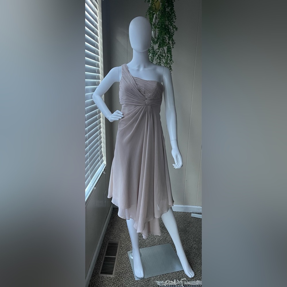 David’s Bridal Size 2 One Sleeve Dress